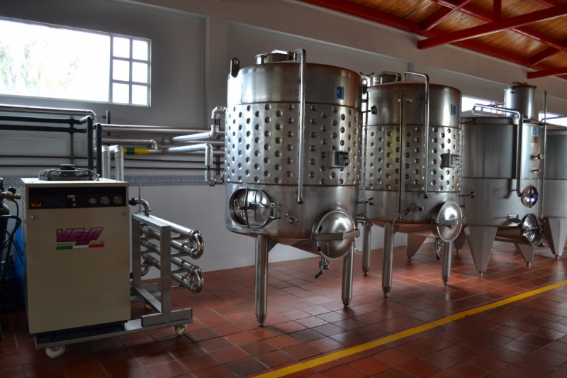 cave-TRAMOLE-min_wine_production_cantine_winery_drink_alcohol_vine_beverage-902036